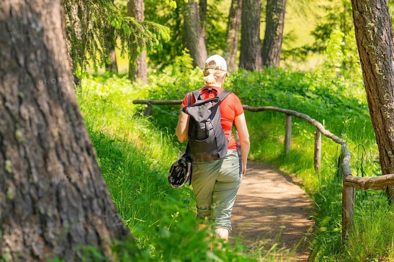 Person with rucksack hiking on a sunny forest path, Alpe di Siusi, Dolomites, South Tyrol, Italy
