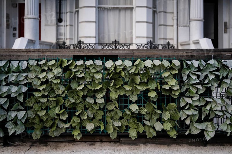 Artificial plastic plant leaves on a fence, Kensington, London, England, Great Britain