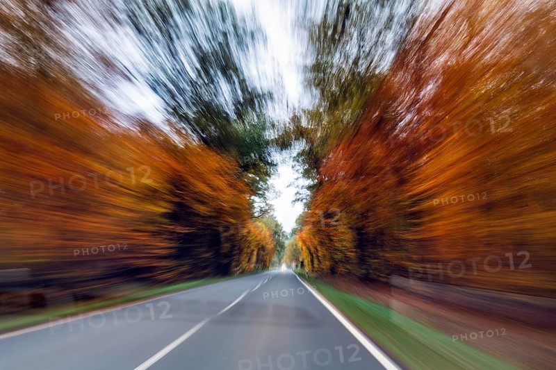 Country road through autumn forest, autumn leaves, oncoming traffic, cloudy weather, zoom effect, motion blur, Solling-Vogler nature park Park, Lower Saxony, Germany