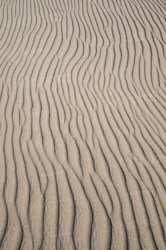 Wave-like wind-formed sand structures in close-up, Hvide Sande, North Sea, Denmark