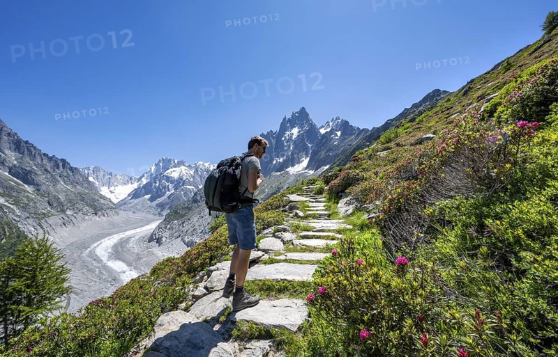 Picturesque mountain landscape with blooming alpine roses, imposing mountain peaks and glaciers, mountaineers on a hiking trail, Grand Balcon Nord, glacier tongue Mer de Glace, behind Grandes Jorasses, Mont Blanc massif, Montenvers, Chamonix, Haute-Savoie, France