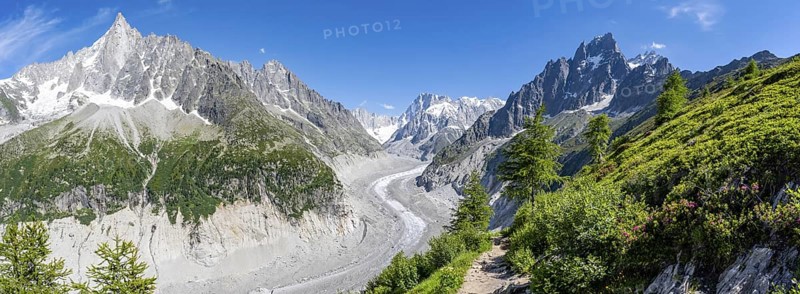 Panorama, Picturesque mountain landscape with blooming alpine roses, imposing mountain peaks and glaciers, Grand Balcon Nord hiking trail, Mer de Glace glacier tongue, Grandes Jorasses at the back, Mont Blanc massif, Montenvers, Chamonix, Haute-Savoie, France