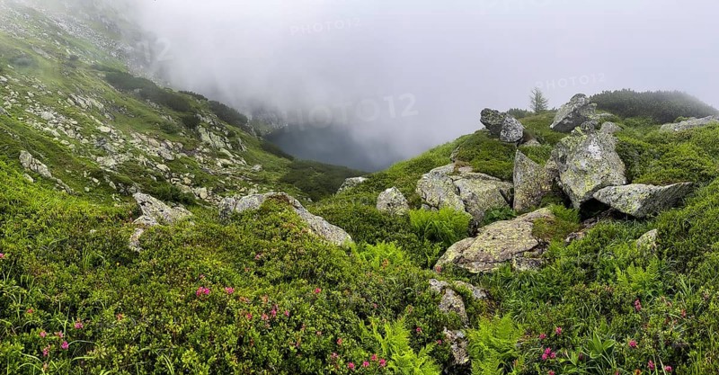 Wisps of mist drift over Kaltenbachsee, Schladminger Tauern, Sölktäler nature park Park, St. Nikolei, Styria, Austria