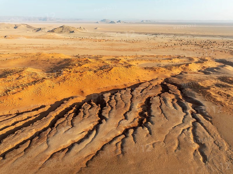 Canyon, sand dunes and camelthorn trees (Vachellia erioloba) in the Tsondab Valley in the Namib Desert. In the distance the Tsondab Valley Lodge. Aerial view. Drone shot. Namibia