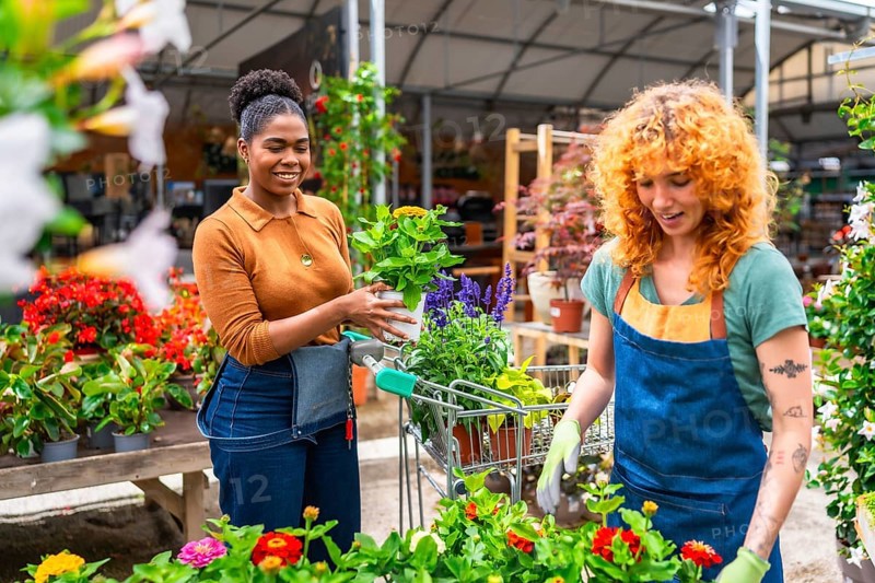 Two young women working in a garden center are pushing a shopping cart full of plants and flowers