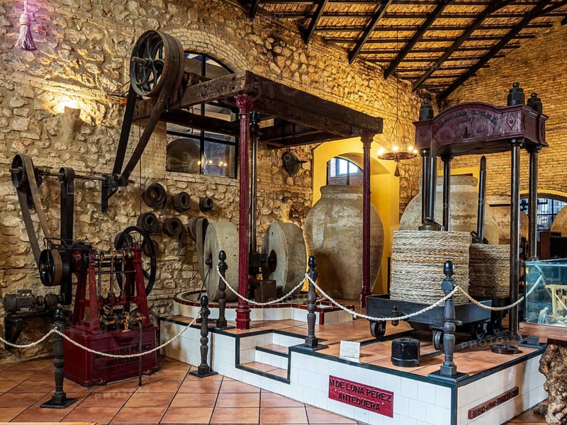 Museo del Aceite, olive oil museum and shop, village Cabra, Andalusia, Spain