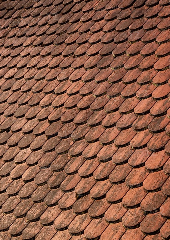 Red shingle roof, house roof, detail, Steyr, Upper Austria, Austria