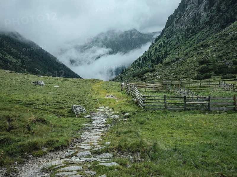 Historic mule track, Windbachtal, Krimmler Tauern, Pinzgau, Salzburg, Austria