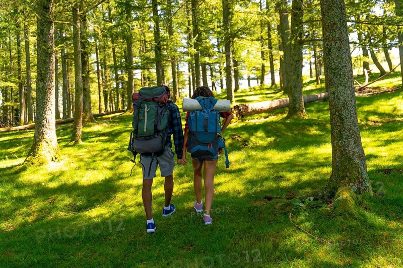 Couple enjoying hiking trip in lush green forest, carrying backpacks and holding hands, experiencing tranquility of nature