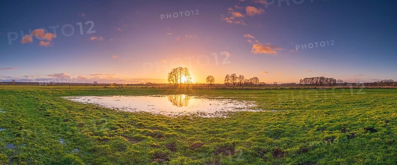 View of a puddle on a meadow at sunset, landscape photo, nature photo, flora, fauna, landscape format, panorama, pasture, grasses, lowland, sky, clouds, backlight, Neustadt am Rübenberge, Hanover region, Lower Saxony, Germany