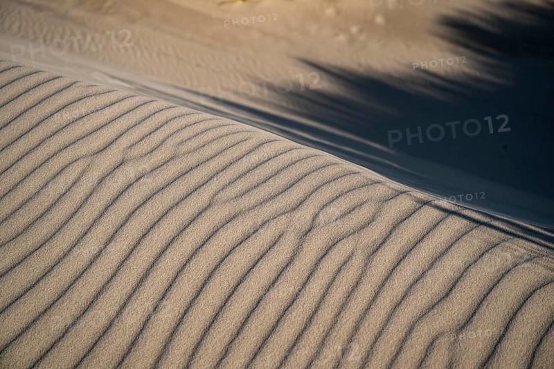 Wave-like wind-formed sand structures in close-up, Hvide Sande, North Sea, Denmark
