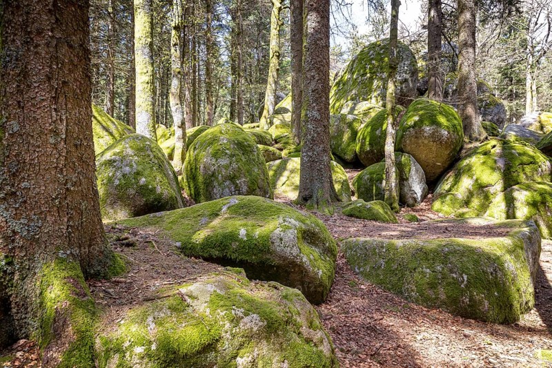 Granite rock Günterfelsen near the source of the Danube, Furtwangen in the Black Forest, Baden-Württemberg, Germany