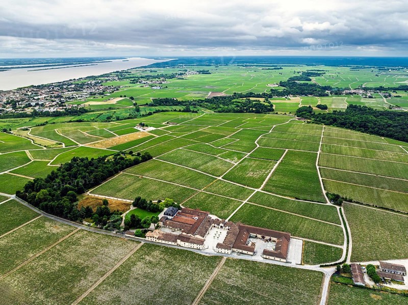 Chateau Pontet-Canet Vineyard and grape fields around Pauillac and Gironde Estuary from a drone, Bordeaux, Gironde, Nouvelle-Aquitaine, France