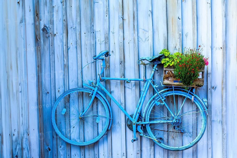 Blue, old bicycle on a wooden wall, Unterallgäu, Bavaria