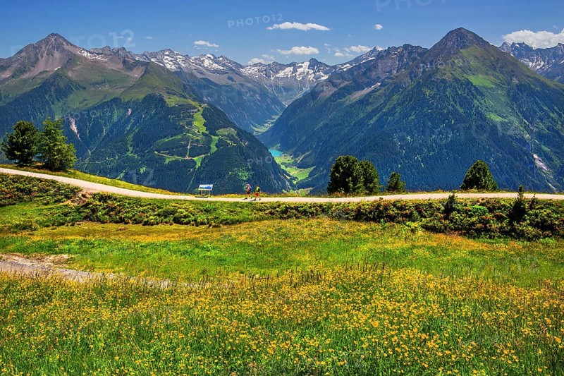 Hiking trail on the Penken with a view of the Stilluptal, Mayrhofen, Zillertal, Zillertal Alps, Tyrol, Austria
