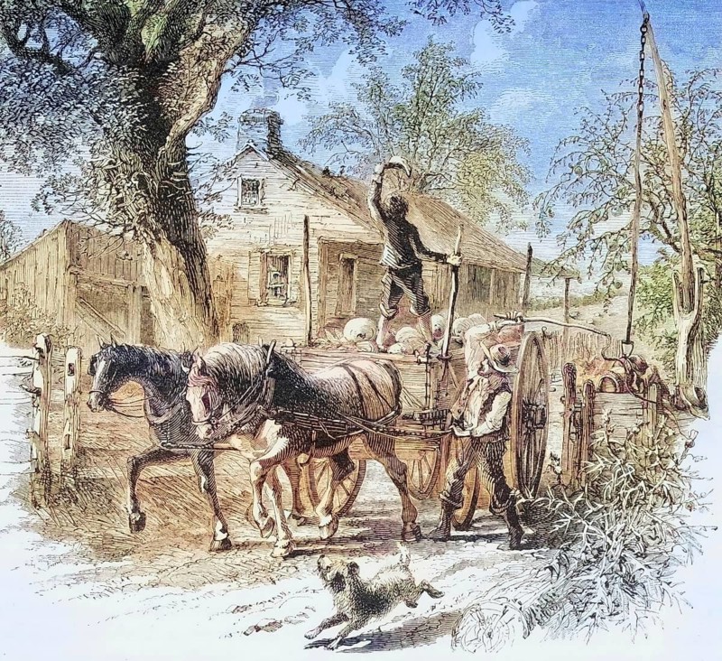 Homestead in Kansas in the 1870s, America, digital reproduction from American Pictures, drawn with pen and pencil, coloured, by Samuel Manning, published circa 1880, Historical