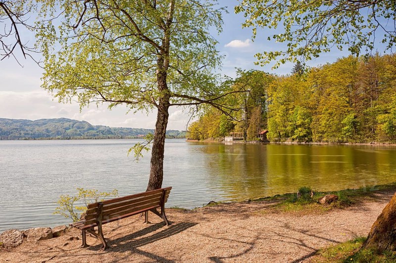 Lake Kochel, empty bench on the lakeshore, Kochel, Upper Bavaria, Bavaria