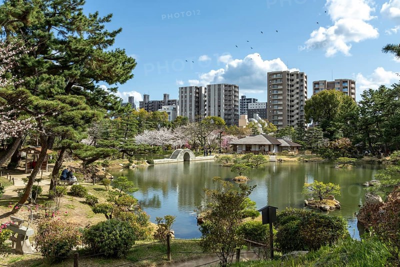 Shukkei-en with blossoming cherry trees, Sakura, Seifukan teahouse and Koko-kyo stone bridge over Takuei-chi pond in spring, historical Japanese strolling garden, Japanese garden, green area, tourist attraction, sight, Naka-ku, Hiroshima, Japan