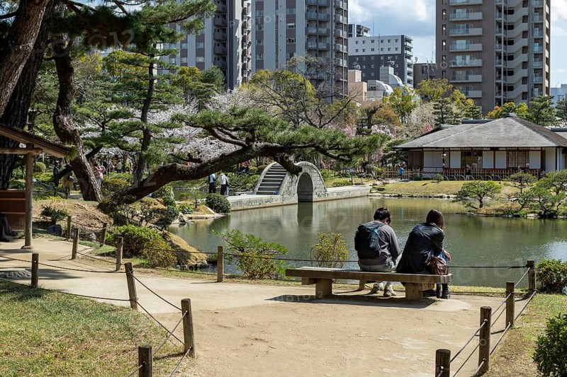 Tourists on a bench in Shukkei-en with blossoming cherry trees, Sakura, Seifukan teahouse and Koko-kyo stone bridge over Takuei-chi pond in spring, historical Japanese strolling garden, Japanese garden, green area, tourist attraction, sight, Naka-ku, Hiroshima, Japan
