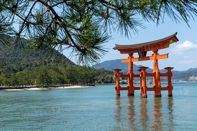 Torii in the water, sight, tourist attraction, UNESCO World Heritage Site, Itsukushima Shrine, Miyajima Island, Hatsukaichi, Hiroshima Prefecture, Japan