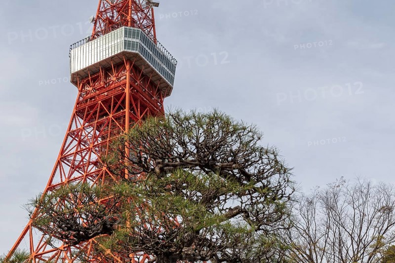 Sightseeing, tourist attraction, Tokyo Tower, Minato City, Tokyo, Japan