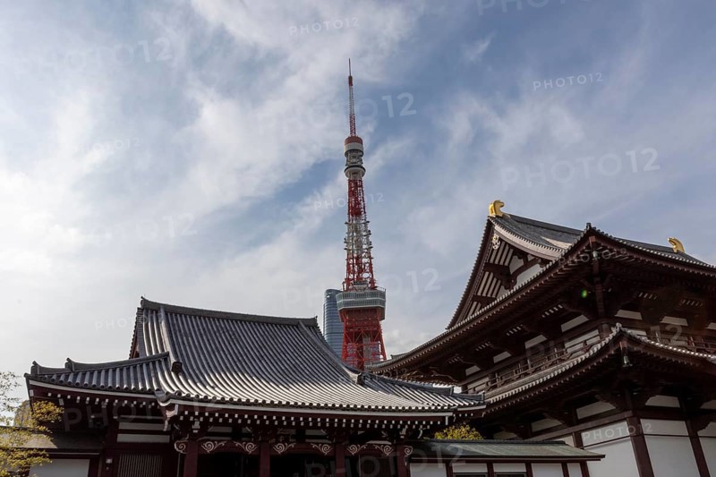 Landmark, tourist attraction, architecture, curved roofs, Zojoji Hall, Zojo-ji Temple, Busshist Temple and Tokyo Tower, Minato City, Tokyo, Japan