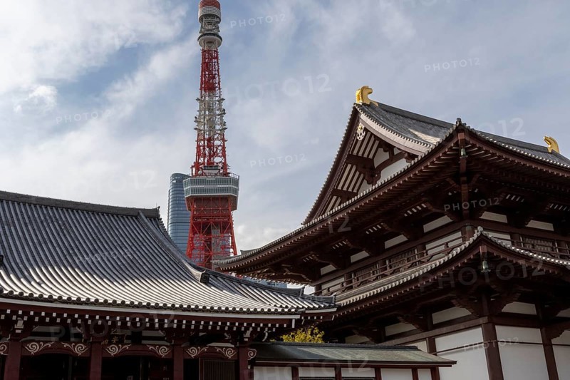 Landmark, tourist attraction, architecture, curved roofs, Zojoji Hall, Zojo-ji Temple, Busshist Temple and Tokyo Tower, Minato City, Tokyo, Japan