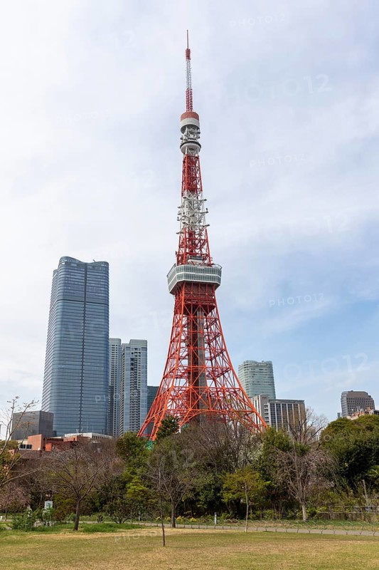 Landmark, tourist attraction, Tokyo Tower and Shiba Park, Shibakoen, public park in Minato City district, Tokyo, Japan
