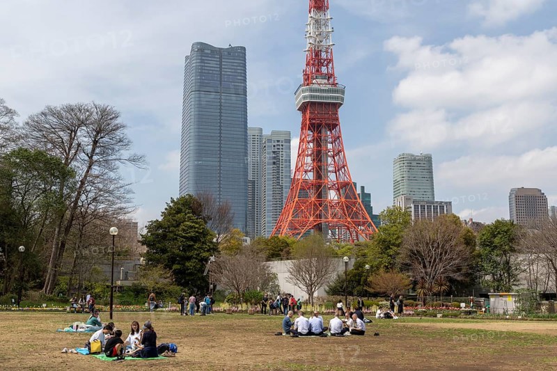 Sightseeing, tourist attraction, Tokyo Tower and young Japanese people in Shiba Park, Shibakoen, public park in Minato City district, Tokyo, Japan