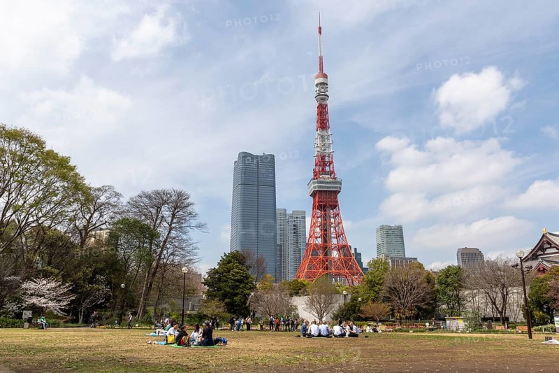 Sightseeing, tourist attraction, Tokyo Tower and young Japanese people in Shiba Park, Shibakoen, public park in Minato City district, Tokyo, Japan