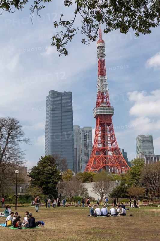 Sightseeing, tourist attraction, Tokyo Tower and young Japanese people in Shiba Park, Shibakoen, public park in Minato City district, Tokyo, Japan