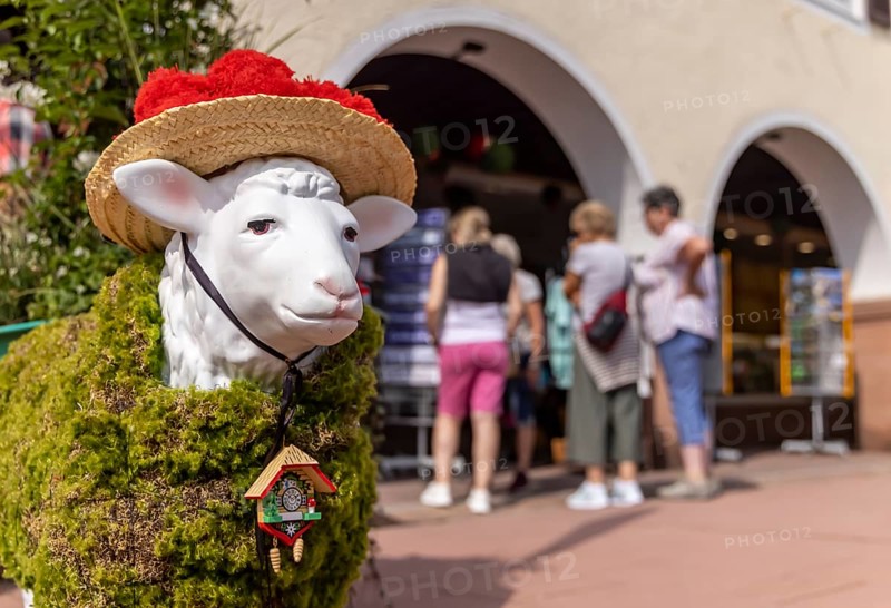 Kitsch in Black Forest style. A sheep with a Bollenhut and cuckoo clock. Freudenstadt, Baden-Württemberg, Germany