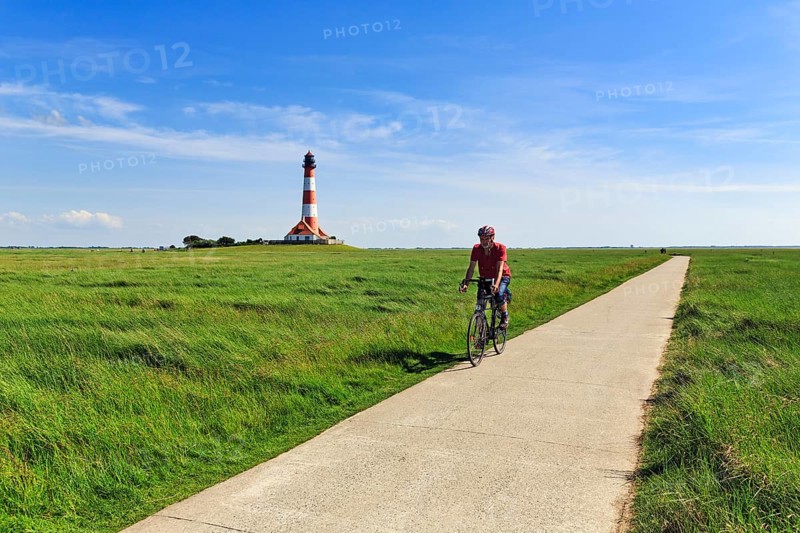 Cyclist, cycle tour through salt marshes, Westerheversand lighthouse on the horizon, Cirrus, Westerhever, Eiderstedt, North Frisia, Schleswig-Holstein, Germany