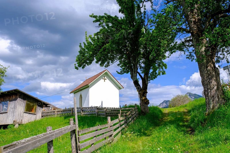 At the Baumgartnerhof, near Finkenstein, Carinthia, Austria