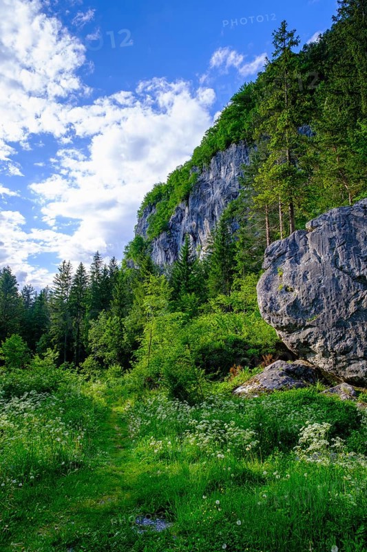 Rocks, climbing rocks, Kanzianiberg, Finkenstein am Faaker See, Carinthia, Austria