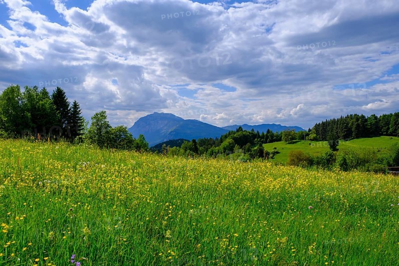 Dobratsch from the castle ruins of Finkenstein, Burgarena Finkenstein, Altfinkenstein, Finkenstein am Faaker See, Carinthia, Austria