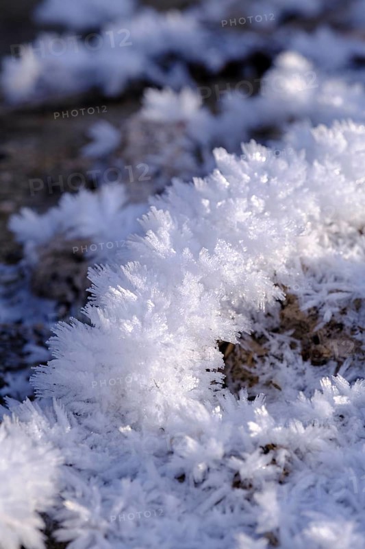 Snow crystals in winter on the young Isar between Wallgau and Vorderriss, Tölzer Land, Upper Bavaria, Bavaria, Germany