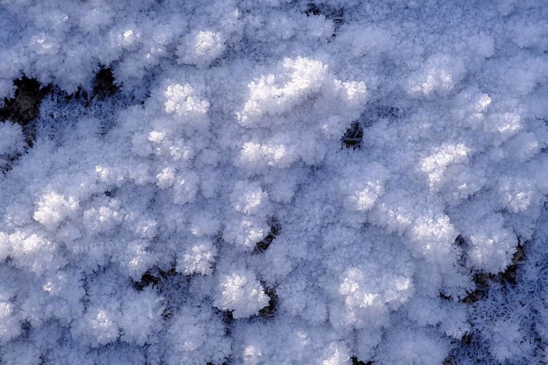 Snow crystals in winter on the young Isar between Wallgau and Vorderriss, Tölzer Land, Upper Bavaria, Bavaria, Germany