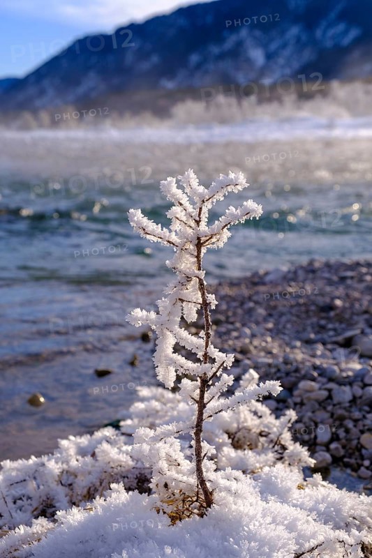 Winter on the young Isar between Wallgau and Vorderriss, Tölzer Land, Upper Bavaria, Bavaria, Germany