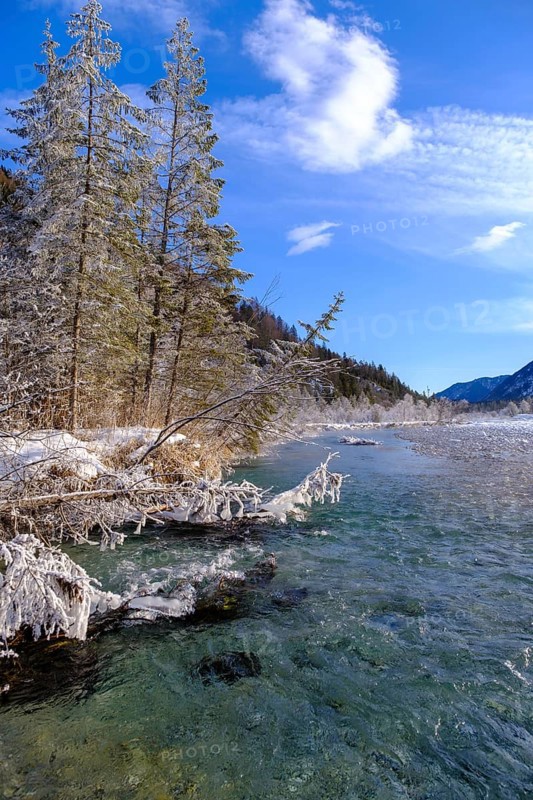 Winter on the young Isar between Wallgau and Vorderriss, Tölzer Land, Upper Bavaria, Bavaria, Germany