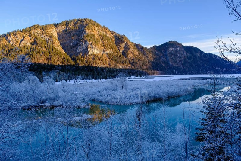 Isar in the inlet at Sylvensteinspeichersee, Tölzer Land, Upper Bavaria, Bavaria, Germany
