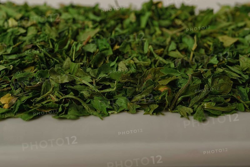 Close-up of dried parsley on a white dish