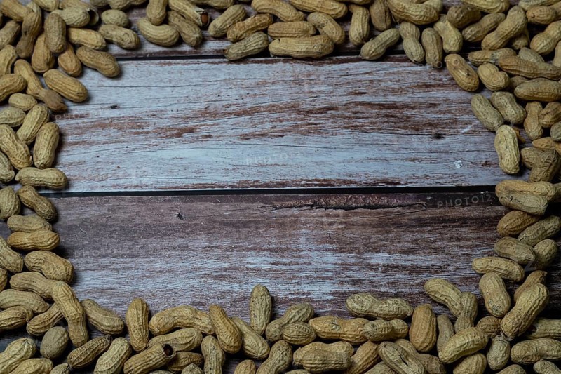 Group of peanuts arranged in a circle with copy space in the center