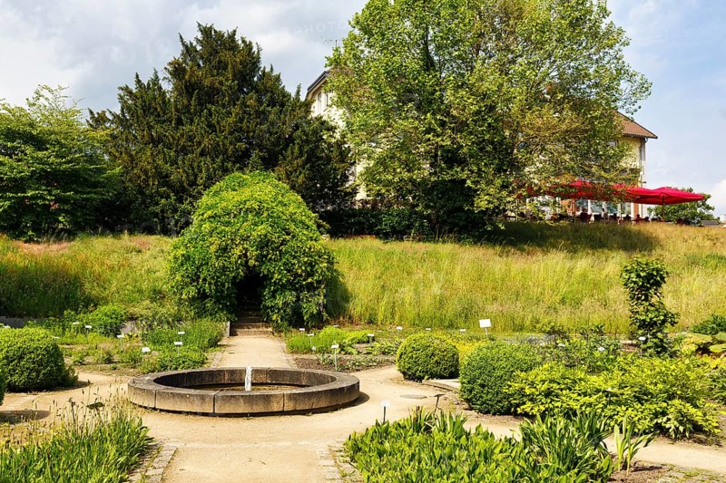 Celle medicinal plant garden, show garden for medicinal plants, park, Expo 2000, Celle, Lüneburg Heath, Germany
