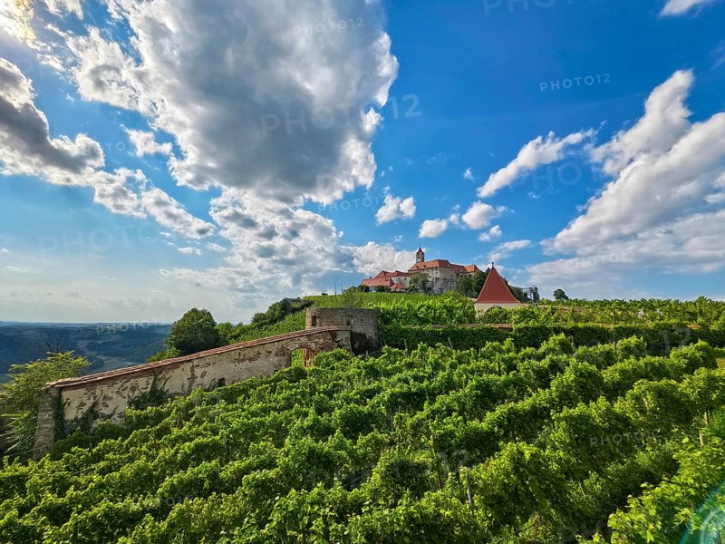 Panoramic view of green vineyards with a castle on a hill under a blue sky Riegersburg Styria Austria