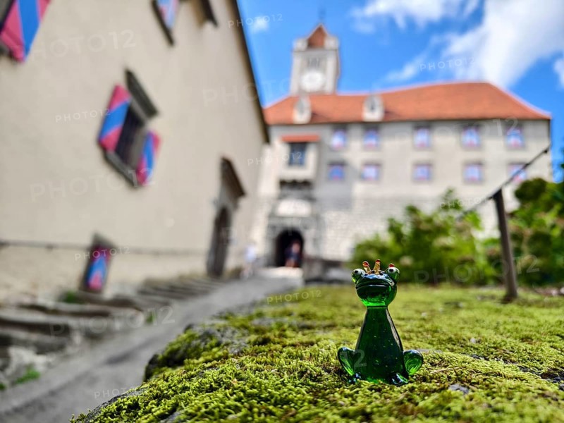 A glass frog sits on a mossy stone in front of a castle with colourful shutters Riegersburgs Styria Austria