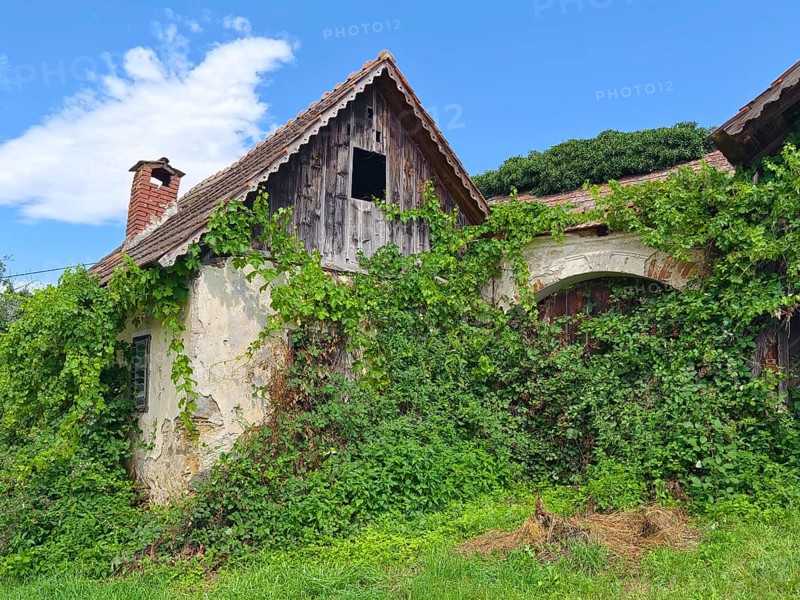 Abandoned country house overgrown with ivy, under a blue sky with an old roof Styria Austria