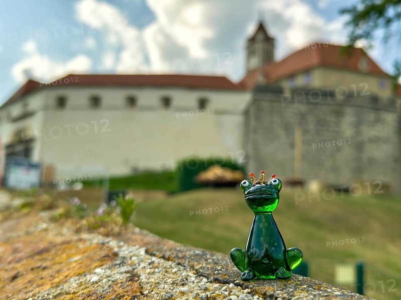 Glass figure of a frog king in front of a castle wall under a cloudy sky Riegersburg Styria Austria