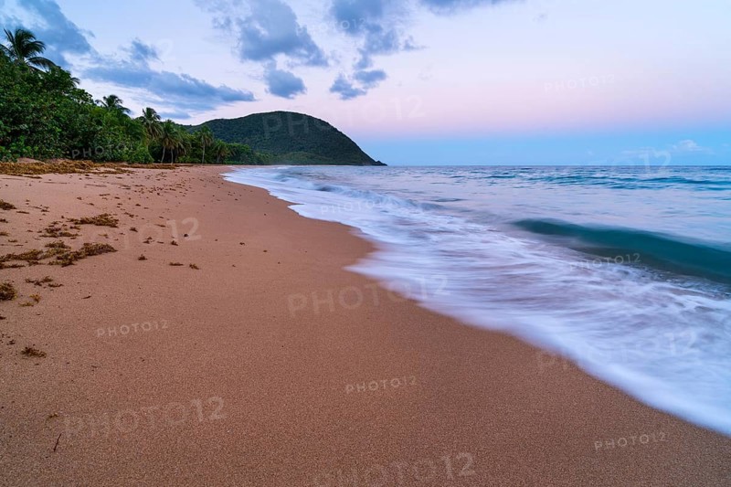Grande Anse beach, coast and sea at dawn, Deshaies, Basse Terre, Guadeloupe, French Antilles, Caribbean