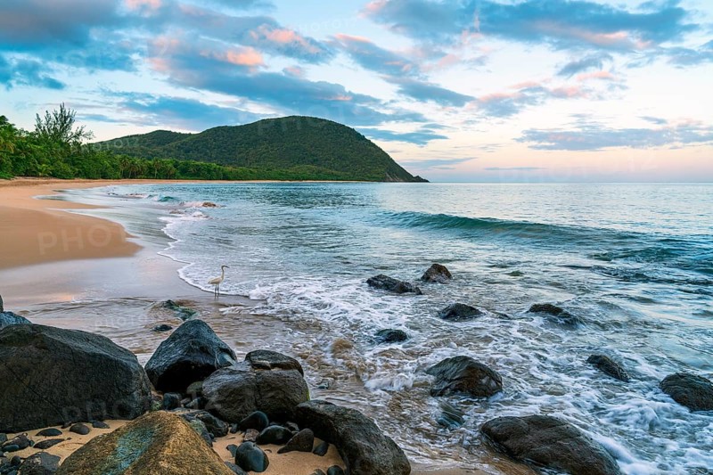 Grande Anse beach, coast and sea at dawn, Deshaies, Basse Terre, Guadeloupe, French Antilles, Caribbean